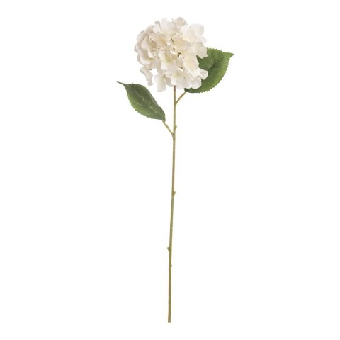 ORTENSIA SINGOLA BIANCO